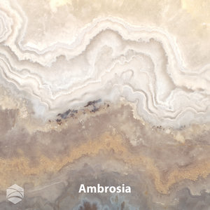 Ambrosia_V2_12x12